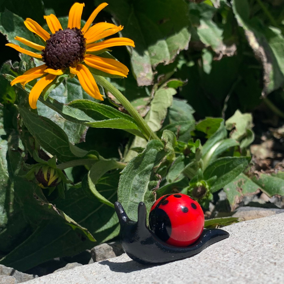 Marble Factory Ladybug Ladybug Snarble, snail and marble – Snarbles